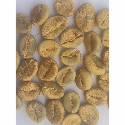 robusta parchment pb green bean (washed)