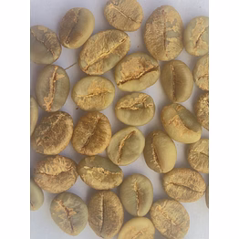 robusta parchment c green bean (washed)