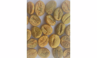 Robusta Cherry AA Green Bean (Unwashed)