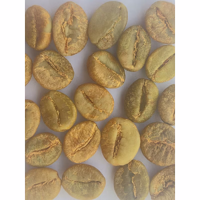 robusta cherry b green bean (unwashed)