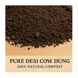 cow dung powder