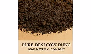COW DUNG POWDER
