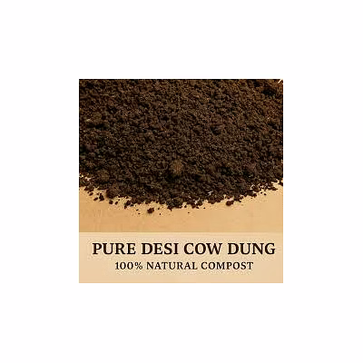 cow dung powder