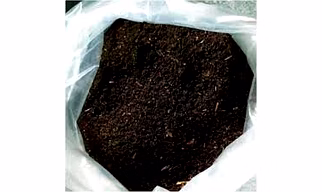 COW DUNG MANURE