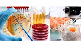 Testing Services in Micro-Biological Analysis for Food, Water, Pharma & Healthcare Products
