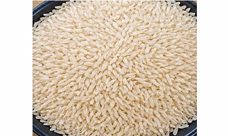 1509 White Basmati Sella Rice