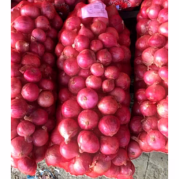 onion