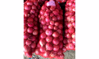 Onion