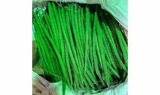 Drumsticks