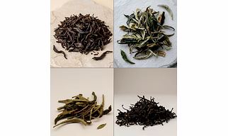 Speciality Tea- Black, White, Green, Oolong