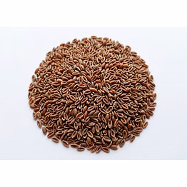 psyllium- seeds
