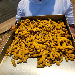turmeric