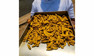 Turmeric