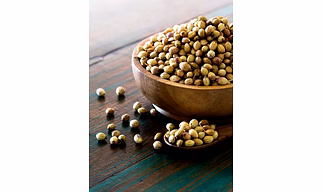 Coriander Seeds