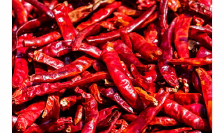 Dry Red Chilli