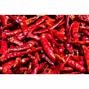 Dry Red Chilli