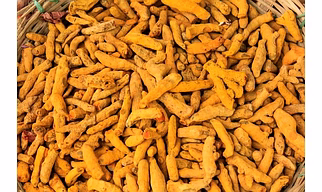 Turmeric Fingers