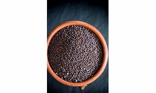 Mustard Seeds