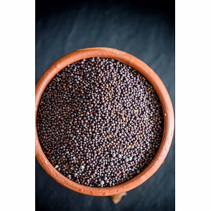 Mustard Seeds