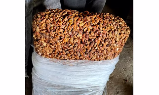 Tamarind high quality