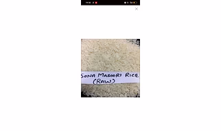 Rice