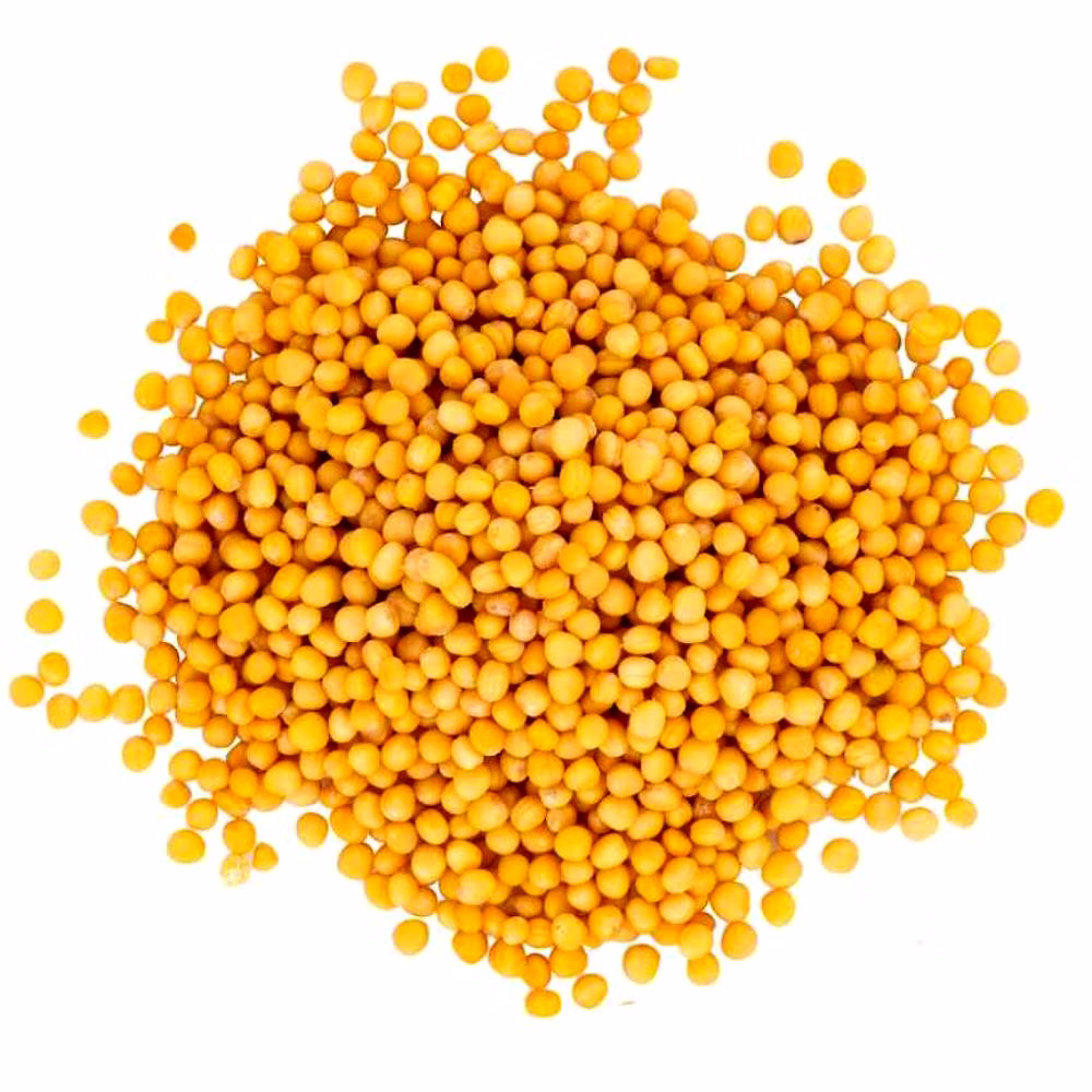 Yellow Mustard Seeds image 1