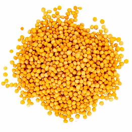 yellow mustard seeds
