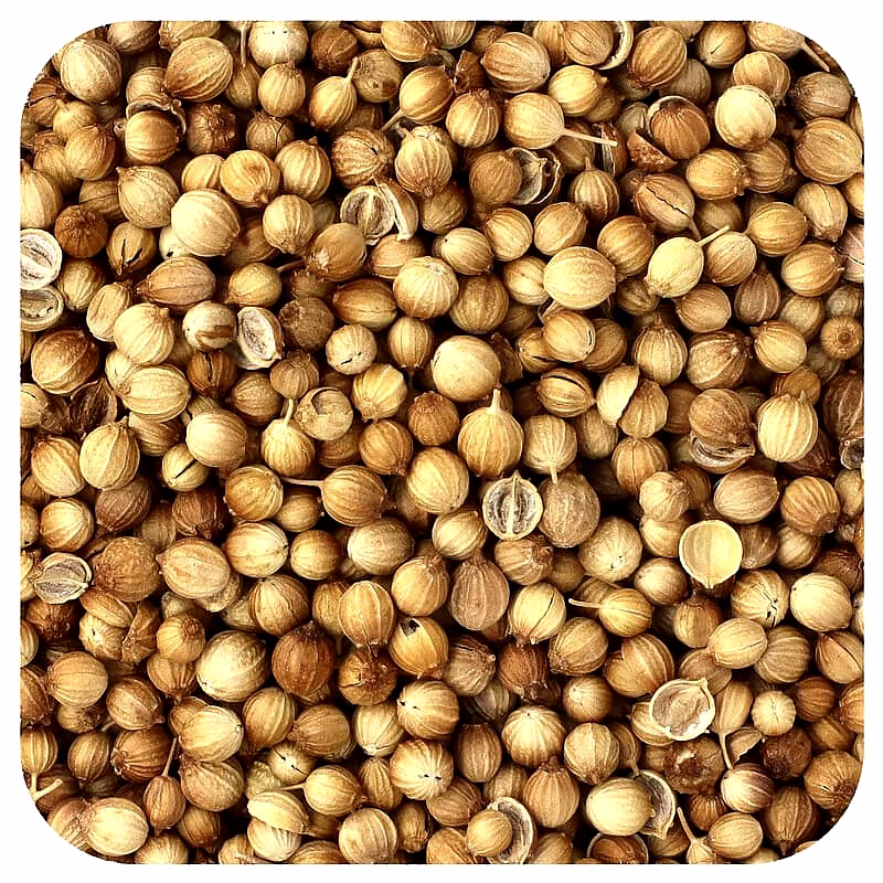 coriander seeds