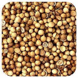 coriander seeds