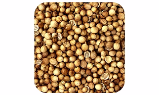 Coriander Seeds