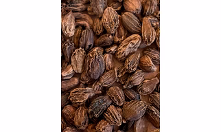 Premium Whole Black Cardamom - Handpicked for Gourmet Cooking