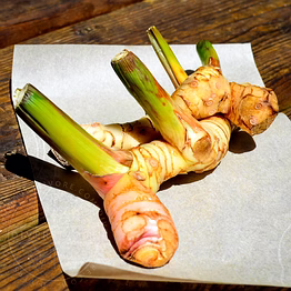 premium whole galangal for culinary creations