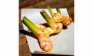 Premium Whole Galangal for Culinary Creations
