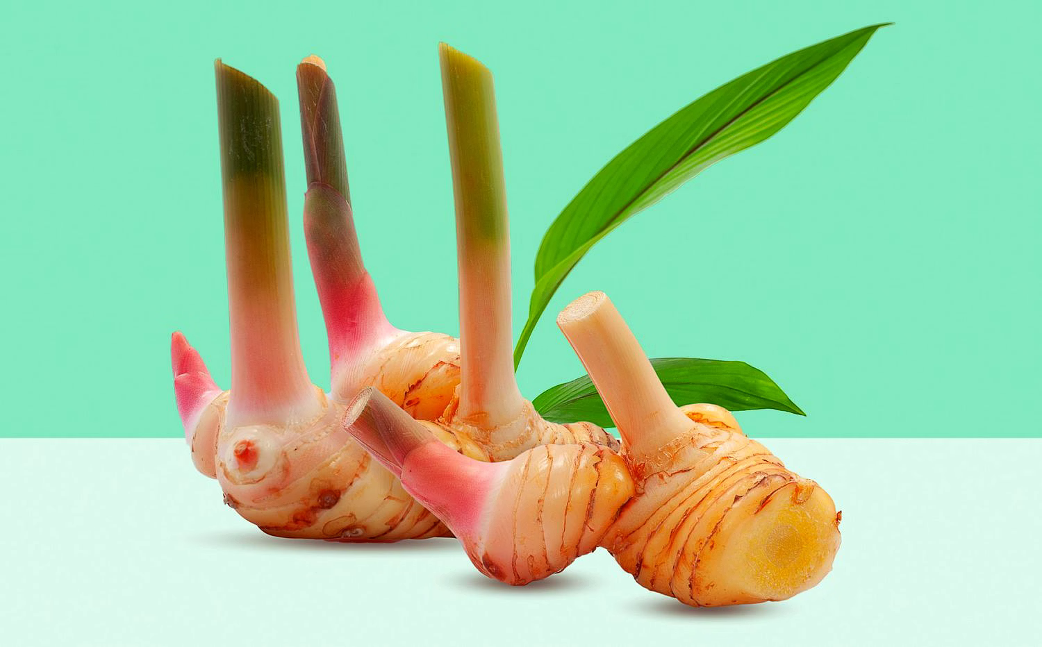 Premium Whole Galangal for Culinary Creations image 2