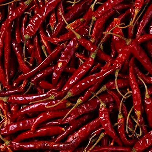 red chilly