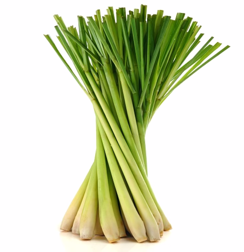 Premium Organic Lemon Grass - Fresh and Flavorful Seasoning Ingredient image 1