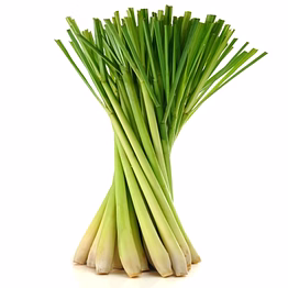 premium organic lemon grass - fresh and flavorful seasoning ingredient