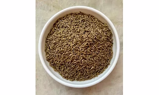 Cumin seed