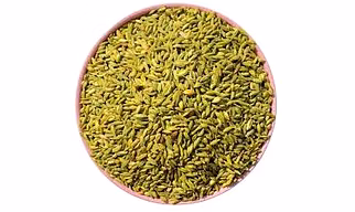 Fennel seed