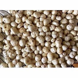 makhana