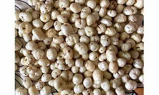 Makhana