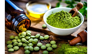 Live Plants, Cut Flowers, & Herbal Products (Moringa and others)