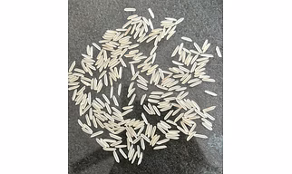 Basmati Rice (1121,1509,1718)