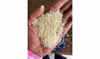 IR64 Rice (Raw & Parboiled)