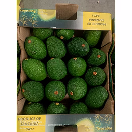 premium tanzanian hass avocados