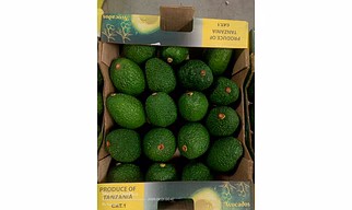 Premium Tanzanian Hass Avocados