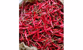 Teja Red Chillies