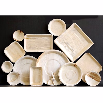 areca palm leaf items