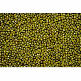 pulses green moong beans