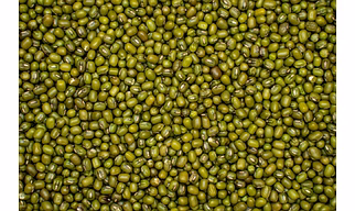 Pulses Green Moong Beans